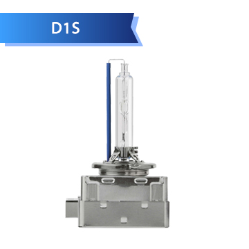 D1S D1S