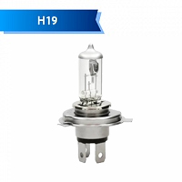 H19 H19
