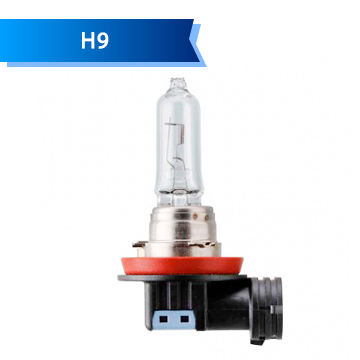 H9 H9