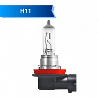 H11 H11