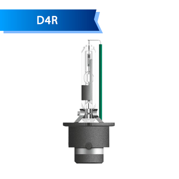 D4R D4R