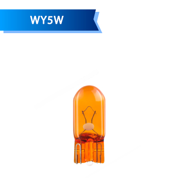 WY5W WY5W