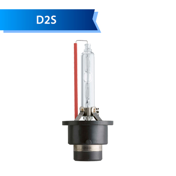 D2S D2S