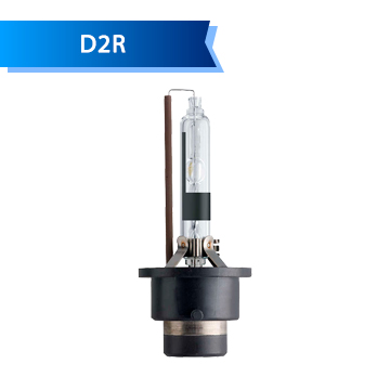 D2R D2R